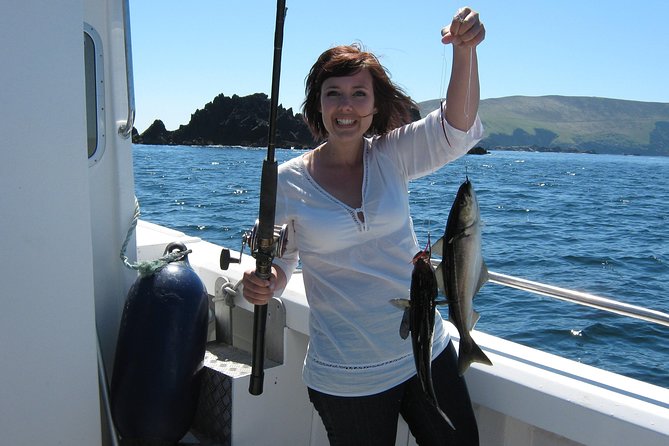 Sea Fishing 2 hour - Meeting at Dingle Marina, and How to Start Without Stress