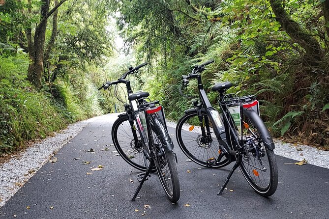 Self Guided Bike Tour on the Limerick Greenway - Family-friendly riding: child seats, trailers, and helmets that reduce the hassle