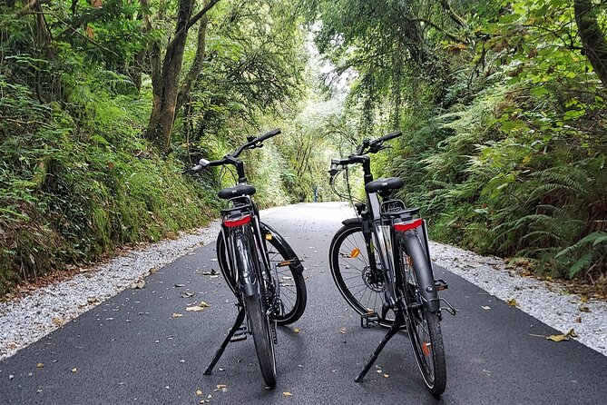 Self Guided Bike Tour on the Tralee to Fenit Greenway - The Tralee to Fenit Greenway Vibe: Easy Pedal, Coastal Reward
