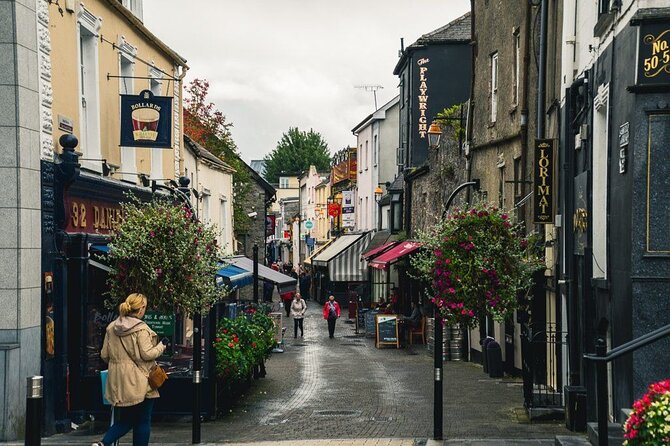 Semi Private tour Rock of Cashel - Cahir castle & Kilkenny - Kilkenny Medieval Mile: walking a compact city with historic texture