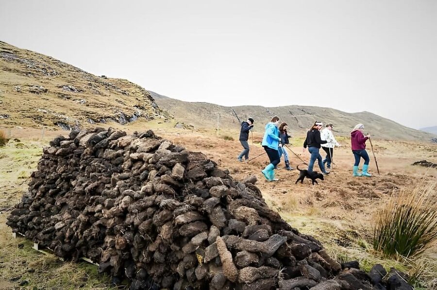 Sheepdog herding demo on working sheep farm. Galway. Guided. - A guided working Connemara sheep farm, set in Galway country (1.5 hours)