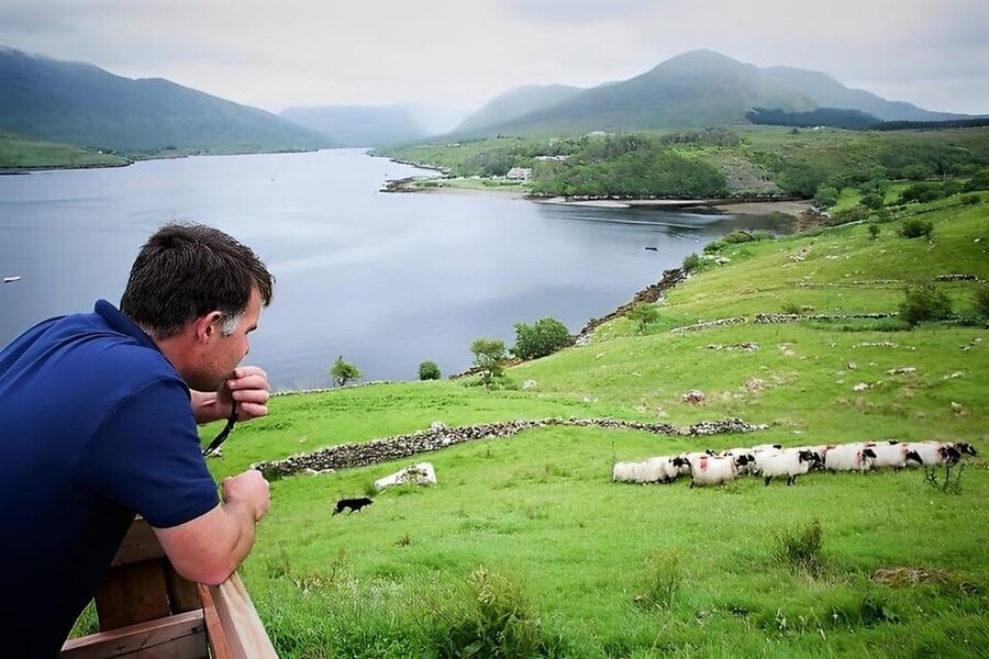 Sheepdog herding demo on working sheep farm. Galway. Guided. - Trying bog-cutting the traditional way with the slean