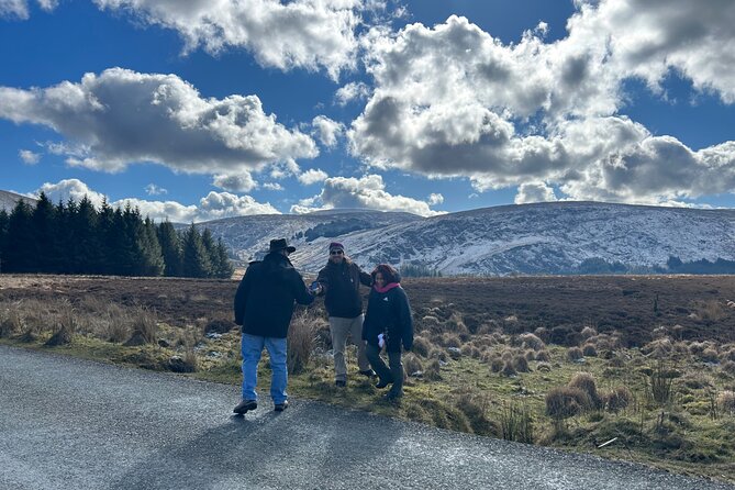 Sheepdogs in the countryside, authentic Dubliners city tour combo - A Dublin Day That Gets You City Sights and Countryside Skills