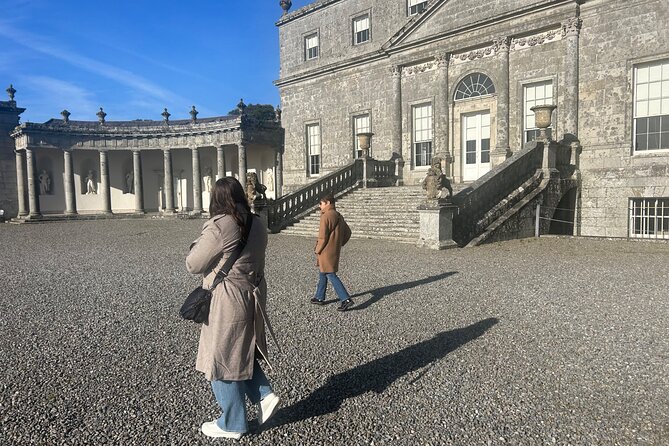 Sheepdogs in the countryside, authentic Dubliners city tour combo - Wicklow Sheepdogs: The Optional Farm Moment Worth Planning Around