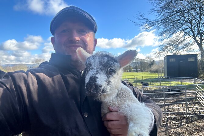 Sheepdogs in the countryside, authentic Dubliners city tour combo - Price and Value for a Private Group Up to 7