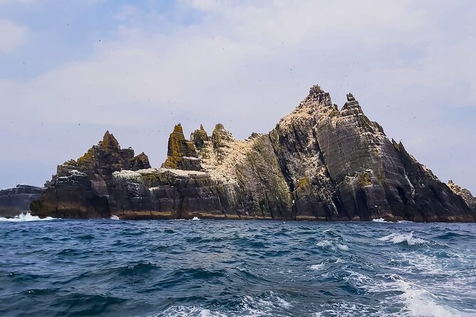 Skellig Michael : Ultimate Skellig Coast Tour with AquaTerra - Skellig Michael and Small Skellig viewpoints: what you learn without landing