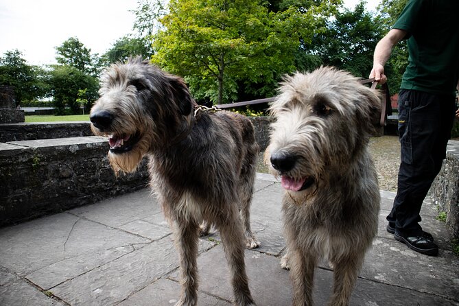 Skip the Line: Bunratty Castle and Folk Park Admission Ticket - How long should you plan? Half-day, or go longer for the full effect