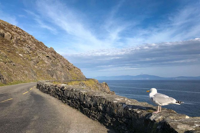 Slea Head Photo & Sightseeing Tour - Slea Head Drive, the way it should be done