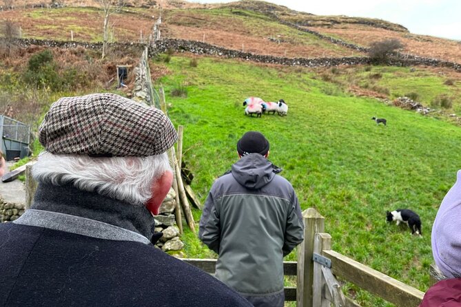 Small Group Kylemore Abbey, Sheepdog Demo & Connemara Tour - Kylemore Abbey and the Victorian Walled Garden, where the story matters