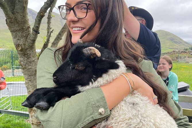 Small Group Kylemore Abbey, Sheepdog Demo & Connemara Tour - Logistics that make the day easier (and where to plan ahead)