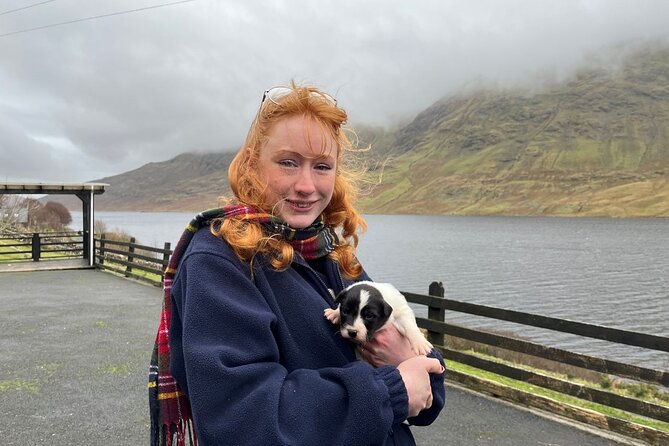 Small Group Kylemore Abbey, Sheepdog Demo & Connemara Tour - Who should book this Connemara day, and who should skip it