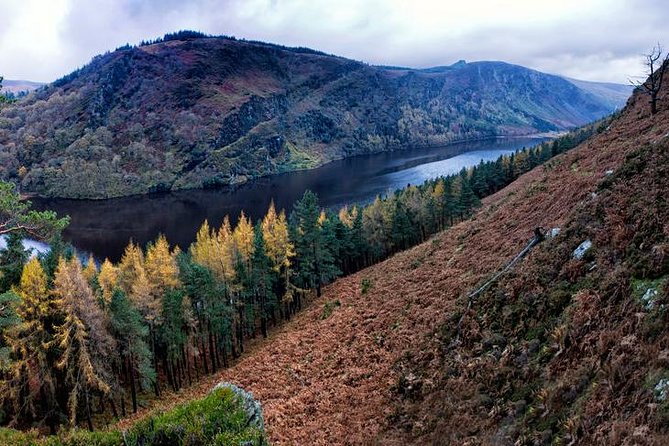 (Small Group) Shore Tour from Dublin:Dublin Highlights and Glendalough Day Trip - Dublin Highlights Loop: O’Connell Street to Trinity College