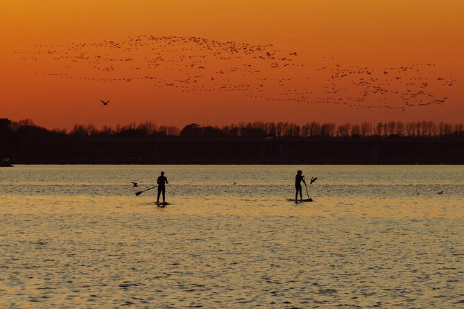 Sunset SUP experience in Malahide, Dublin - Key Highlights You Should Know