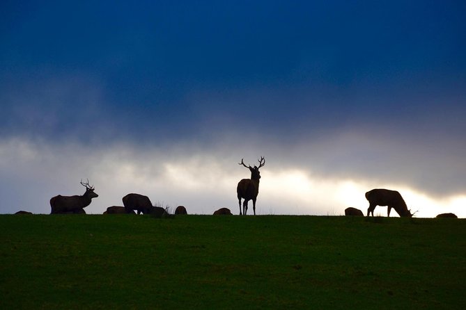 The Best Two Day Tours in Ireland: The Ring of Kerry and Dingle Slea Head Tours - Day 1 on the Ring of Kerry: A Full Day With Time to Explore