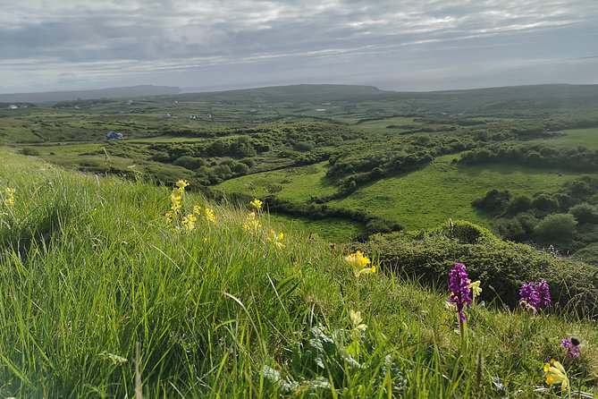 The Burren and Cliffs of Moher Private Tour from Galway - Timing, what to wear, and how to get the most from the 8 hours