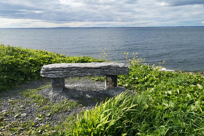The Burren and Cliffs of Moher Private Tour from Galway - Who this private Burren and Cliffs tour suits best