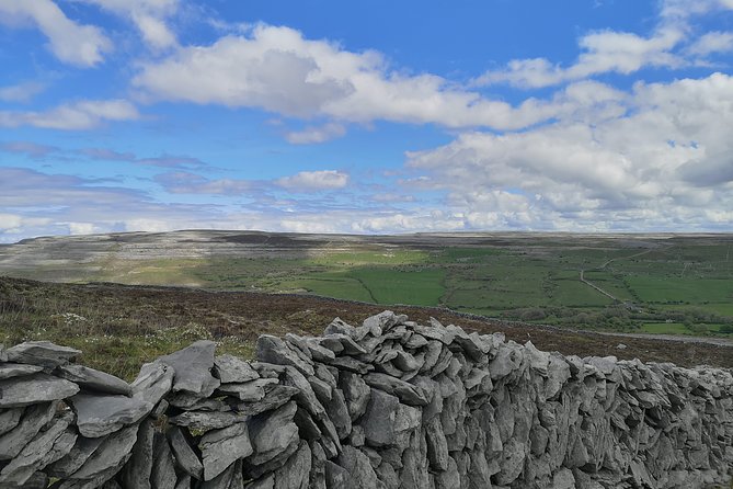 The Burren and Cliffs of Moher Private Tour from Galway - Should you book the Burren and Cliffs of Moher Private Tour from Galway?