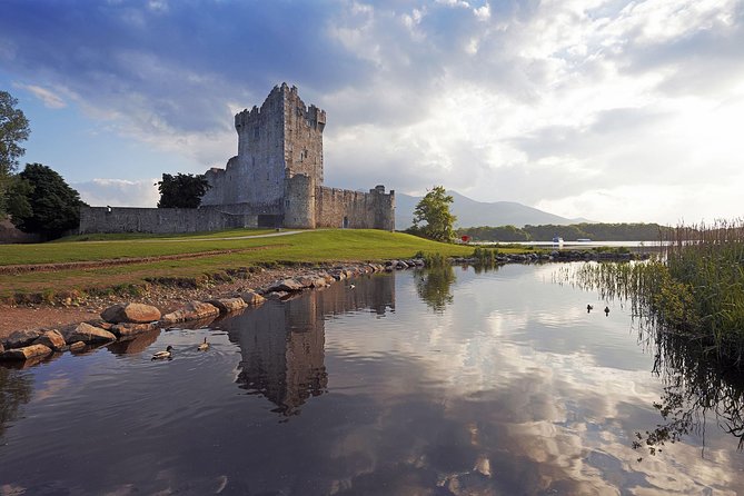 The Classic Ring of Kerry & Skellig Ring Tour - Pickup, vehicle comfort, and the small-group sweet spot