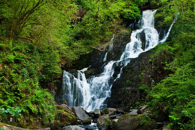 The Classic Ring of Kerry & Skellig Ring Tour - Sheepdog trials and the Kerry Bog Village option