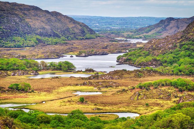 The Classic Ring of Kerry & Skellig Ring Tour - Skelligs Chocolate Co., a working factory and real tasting time