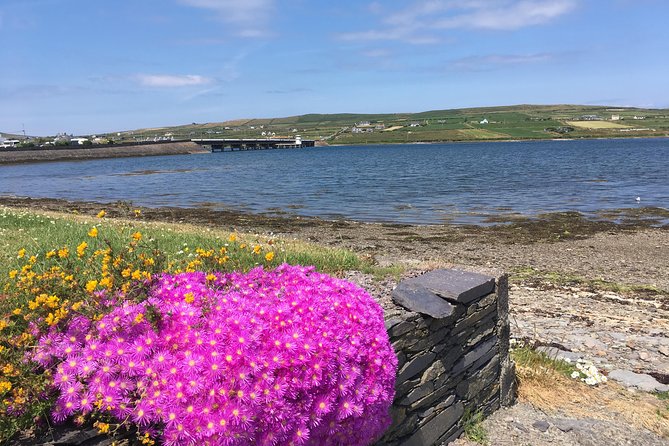 The Cliffs of Moher and Burren National Park Private Tour. - The Rock Shop near the Cliffs: a useful souvenir break