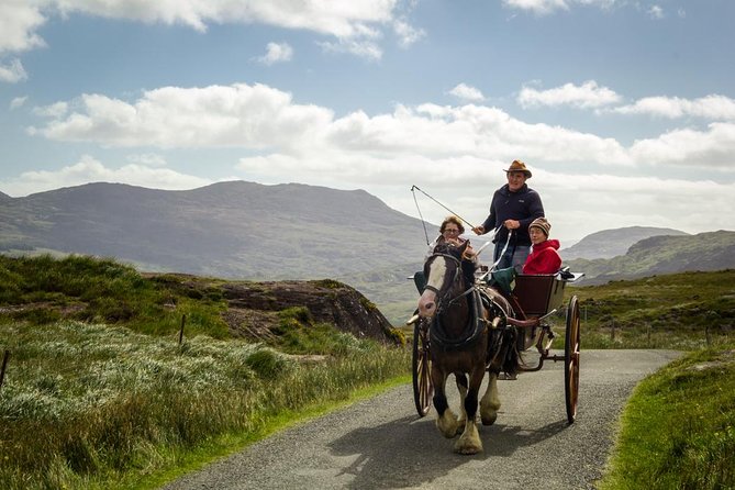 The Gap of Dunloe Adventure Day Tour from Killarney - Black Valley on horseback: why this stretch feels different