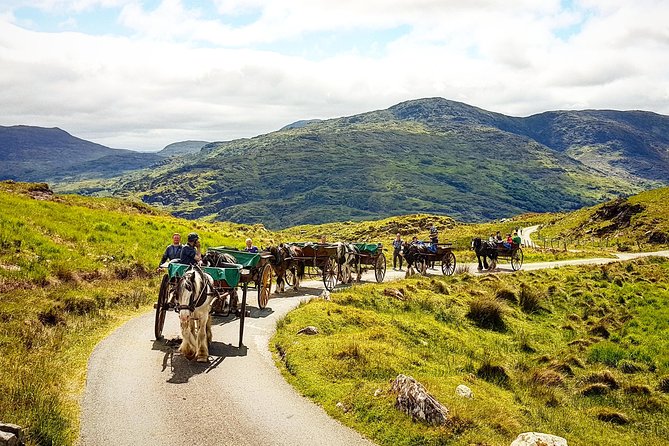 The Gap of Dunloe Adventure Day Tour from Killarney - Timing and effort: dress for the weather and the slope