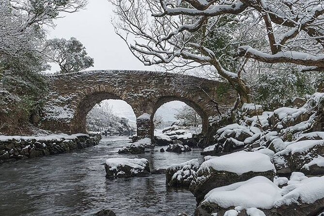 The Gap of Dunloe - Day Trip (One Way Only) - Who should book this one-way tour