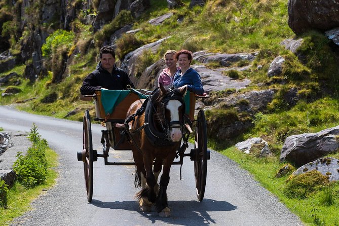The Gap of Dunloe Full-Day Tour from Killarney - Ross Castle: Medieval Tower Views, Plus a Time Check
