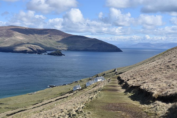 The Great Blasket Island Experience - Premium Tour - Wildlife spotting tips you can use all day