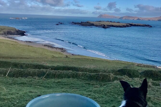 The Great Blasket Island Experience - Premium Tour - What to pack for Great Blasket: lunch, bugs, and comfort