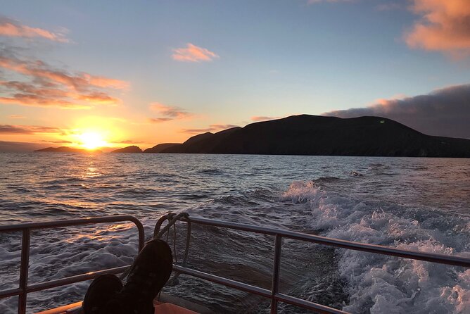 The Great Blasket Island Experience - Premium Tour - Price and what you really get for $141.49