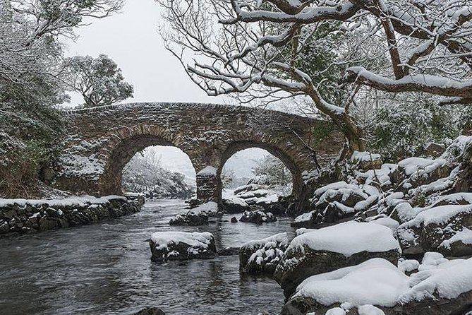The Meeting of the Waters, Dinis Island, Lakes of Killarney - Old Weir Bridge and the double-arch views up close