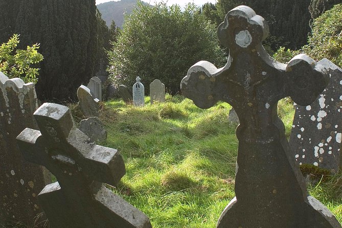 The Original Award Winning Wild Wicklow Tour incl. Glendalough - Lynhams of Laragh pub lunch: where the day gets comfort-food real