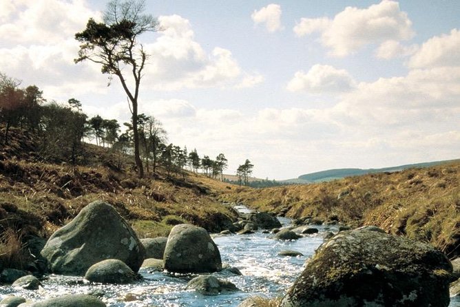 The Original Award Winning Wild Wicklow Tour incl. Glendalough - How the ride feels: small group energy, comfort, and real guide storytelling