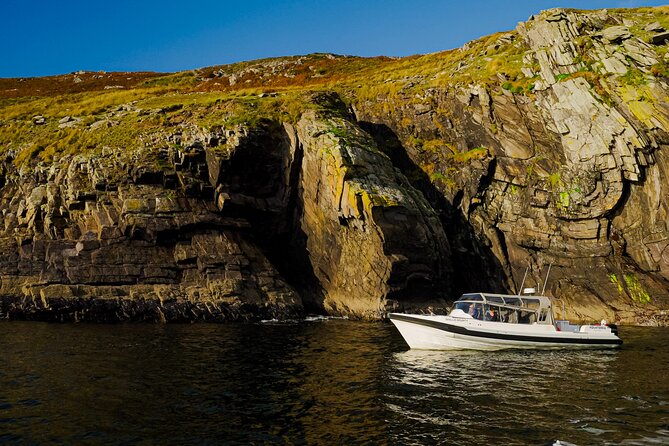 The Valentia Island Experience - Beginish and the coast: where the views meet possible dolphin sightings