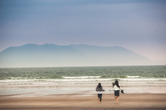 The Wild Coast of Dingle Peninsula and Slea Head from Killarney - Key Highlights Worth Booking This For