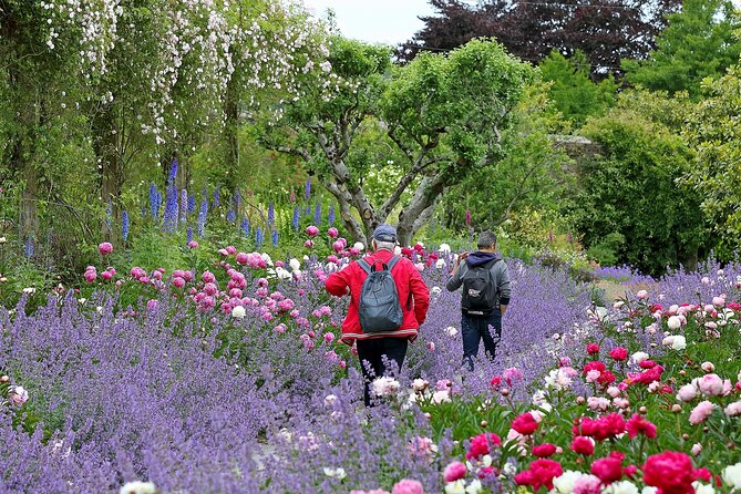 Tickets to Explore Ireland's Global Garden - Stop 1 at Mount Congreve Gardens: What 16km of Paths Really Means