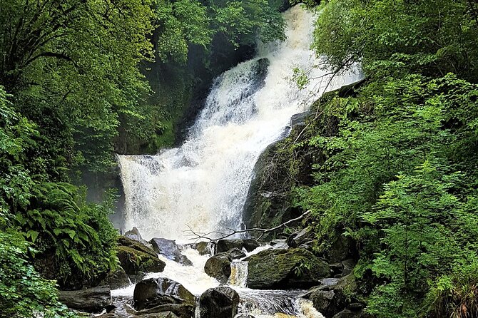 Torc mountain & waterfall hike. Killarney. Private guided group. 3½ hours. - Key things that make this hike worth your time