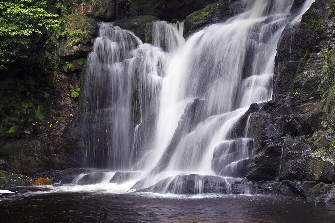 Torc mountain & waterfall hike. Killarney. Private guided group. 3½ hours. - Climbing Torc Mountain at your own pace, with wildlife learning