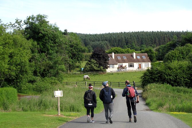 Trek the Tombs and Trails in the Dublin Mountains - The wedge tomb stop: walking to a second-millennium B.C. burial site