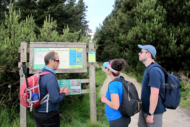 Trek the Tombs and Trails in the Dublin Mountains - The Dublin Mountains Way: cairn tomb, triangulation pillar, and big sky views