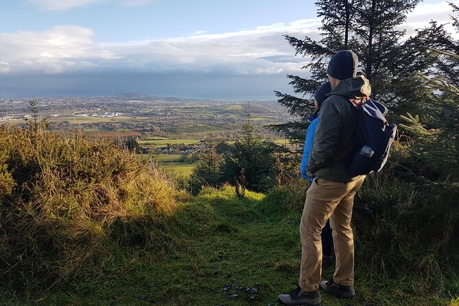 Trek the Tombs and Trails in the Dublin Mountains - Down through an evergreen forest to the end of the hike