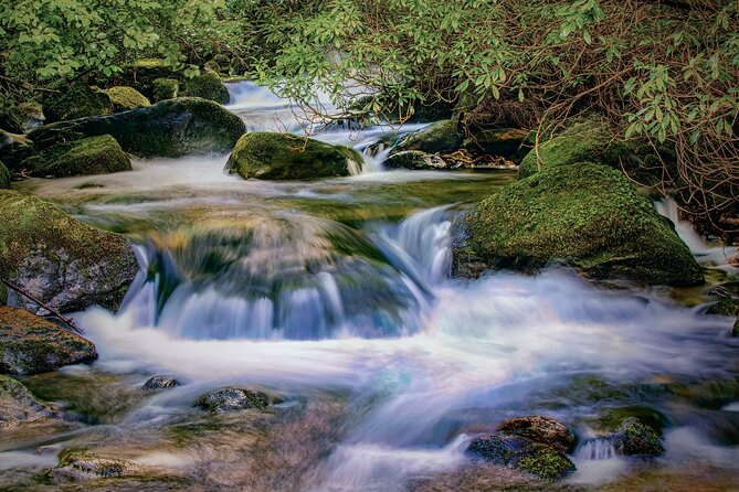 Uncover the Ring of Kerry & Kerry Cliffs -Private Luxury Day Tour - Ross Castle, then the smooth drive back to Killarney