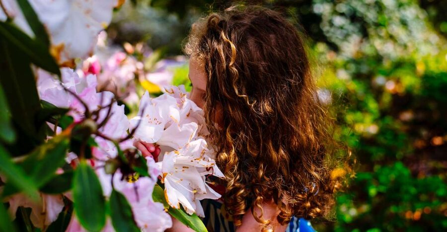 Waterford: Mount Congreve Gardens Entry Ticket - Start at Mount Congreve House, then let the gardens guide you