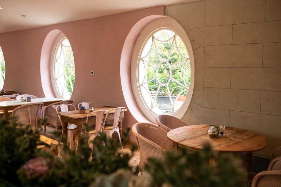 Waterford: Mount Congreve Gardens Entry Ticket - FOXFORD: take a piece of the garden home