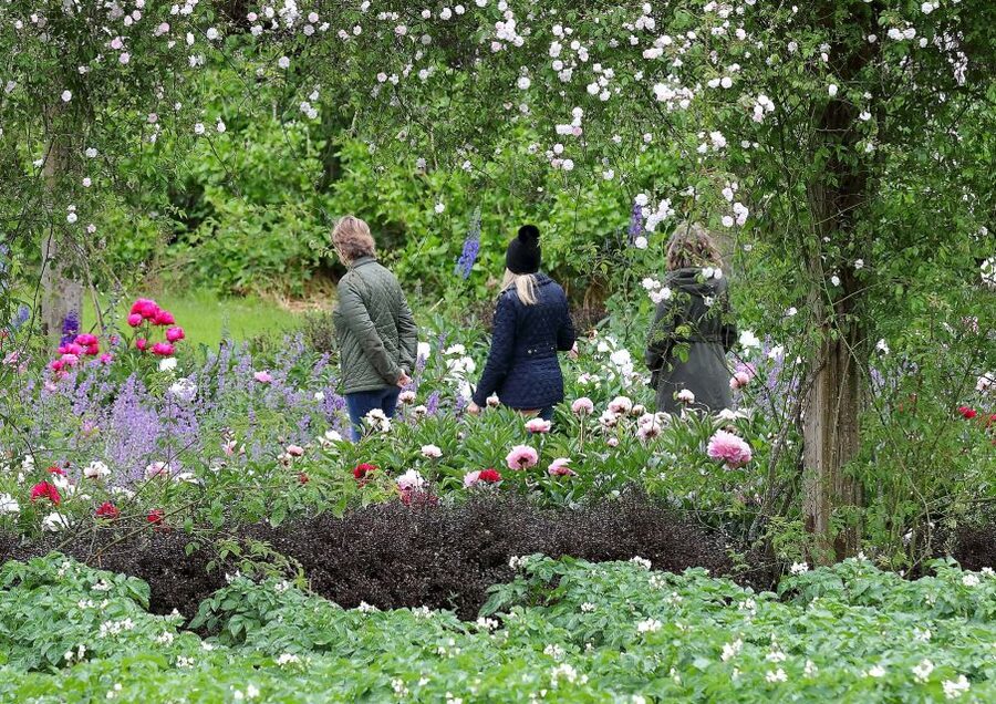 Waterford: Mount Congreve Gardens Entry Ticket - Getting there: Waterford City base and the Waterford Greenway