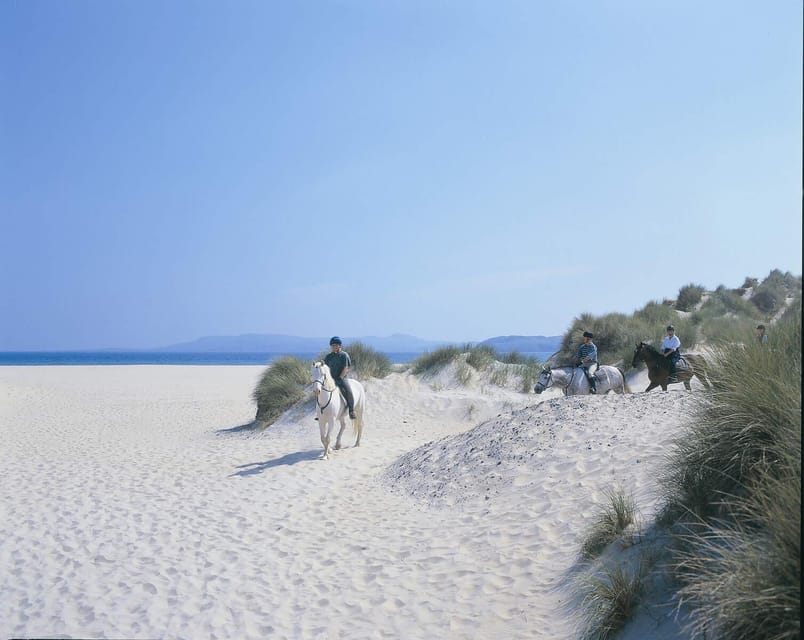 Westport: Beach and Countryside Guided Horse Ride - Key Highlights You Will Remember