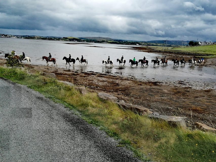 Westport: Beach and Countryside Guided Horse Ride - Price and Value for a $90, One-Hour Experience