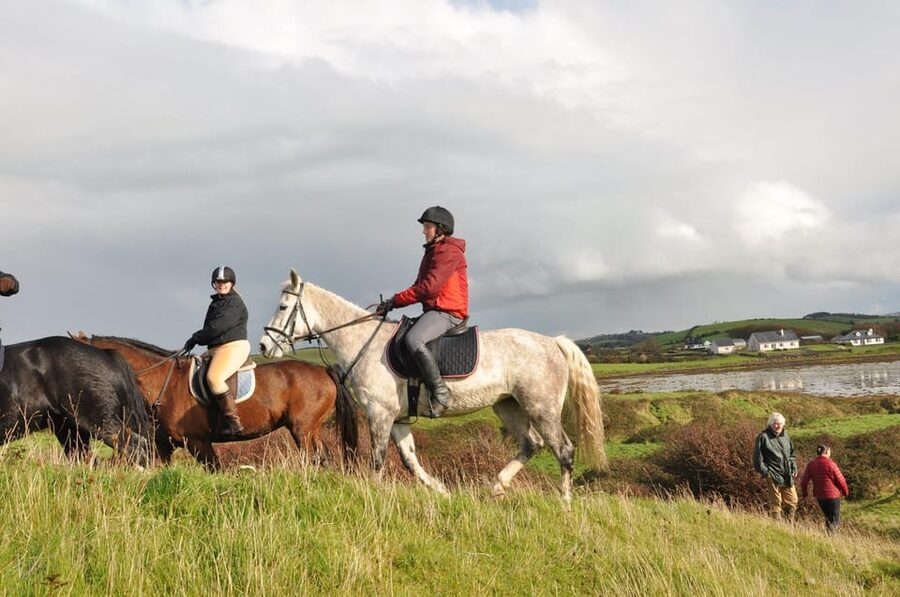 Westport: Beach and Countryside Guided Horse Ride - Weather and Timing: What to Plan Around